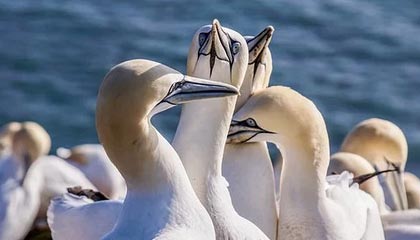 诸暨2026年最新北京商务伴游经纪招聘渠道分享(最方便真实的诸暨北京爱特博旅运服务有限责任公司招聘方法)