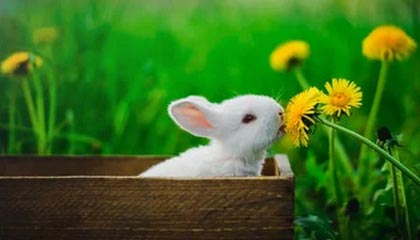 诸暨2026年最新北京商务伴游经纪招聘渠道分享(最方便真实的诸暨北京爱特博旅运服务有限责任公司招聘方法)